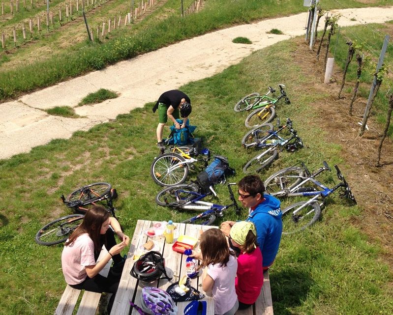 Skupina ľudí na pikniku na lúke vedľa bicyklov.