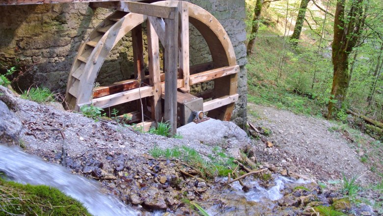 Yew mill wheel in the nature park, © Marika Roth