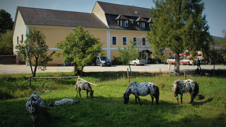 Holzm&uuml;hle Inn & Pony Farm, &copy; Birgit Taxb&ouml;ck