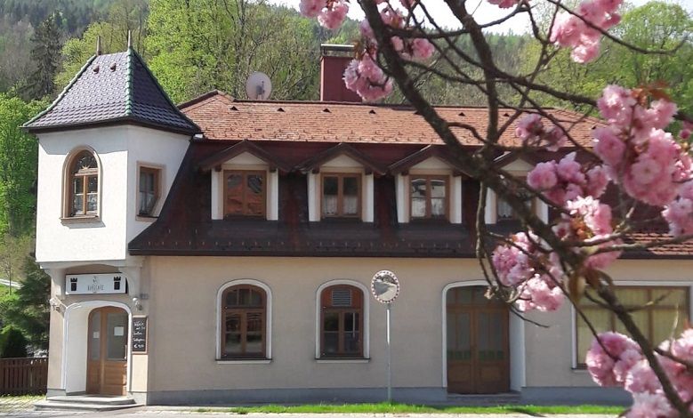 Dvojposchodová budova s vežou a kvitnúcimi čerešňovými kvetmi v popredí.
