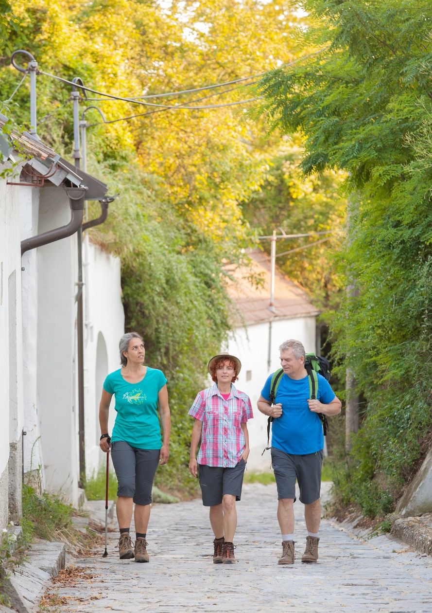 Putovanie vínnymi uličkami Weinviertelu
