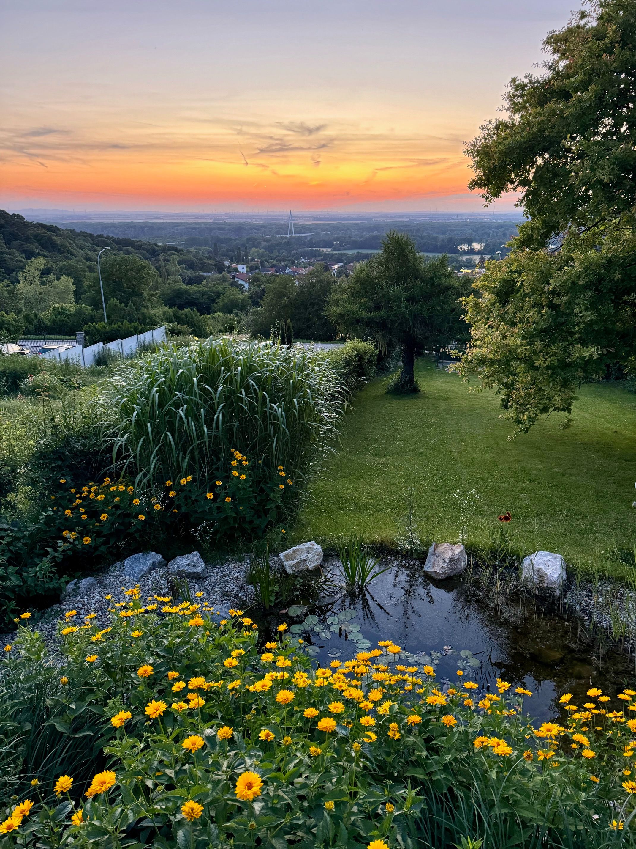 Západ slnka nad Hainburgom an der Donau zo záhrady chaty Auenblick so žltými kvetmi a malým rybníkom v popredí.