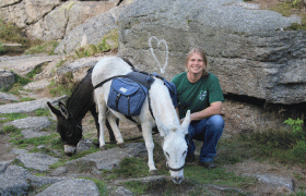 Holzm&uuml;hle Inn & Pony Farm, &copy; Birgit Taxb&ouml;ck
