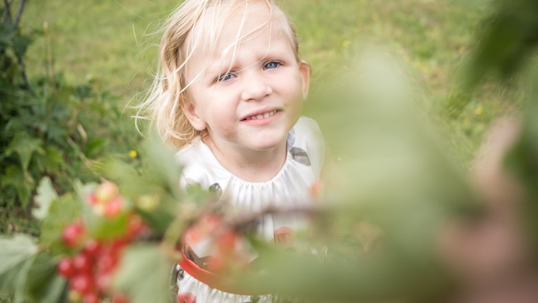 Fruit trail, &copy; Mostlandhof