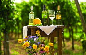 Weinhof Vogl, © Fam. Vogl