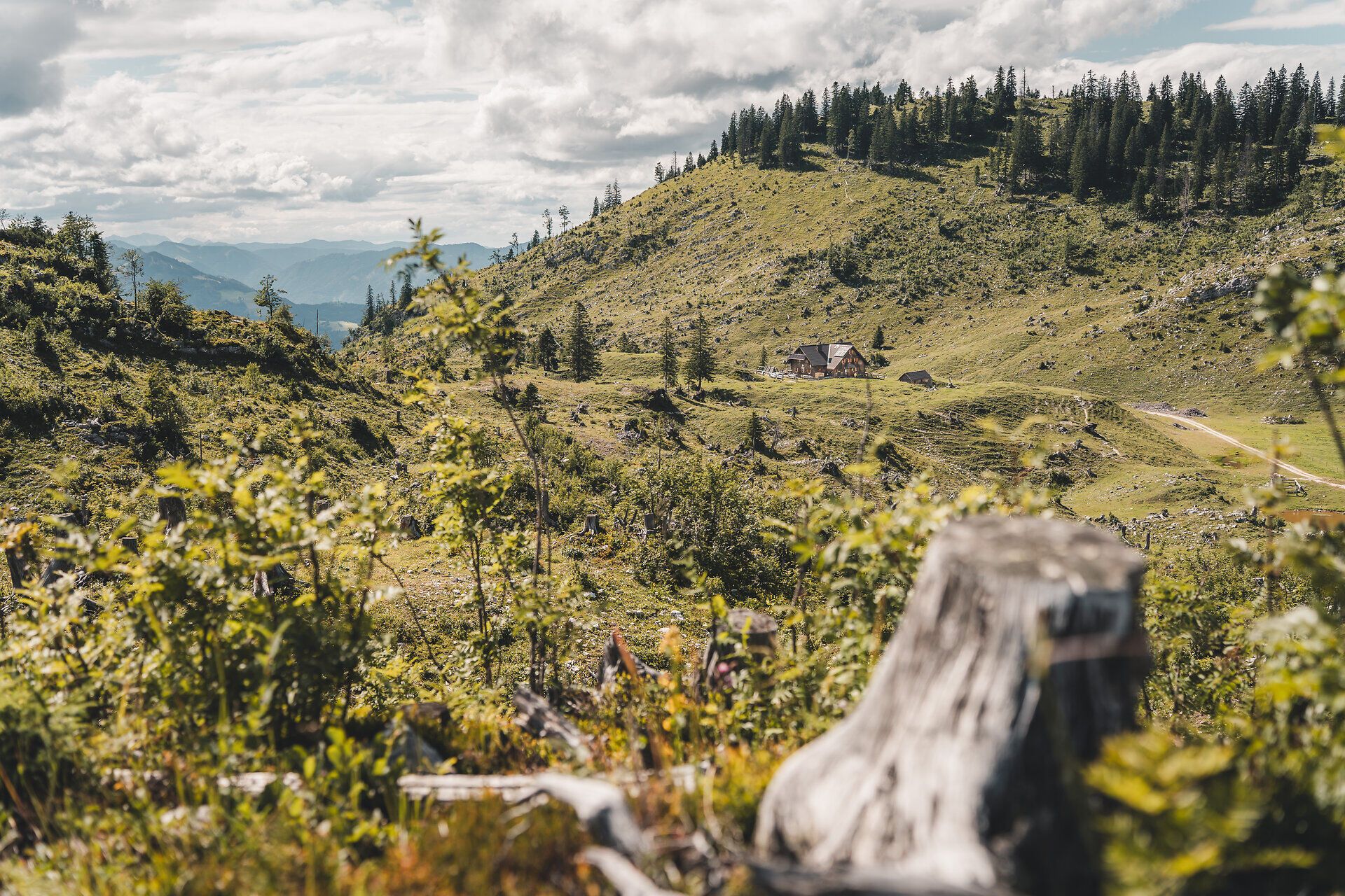 Alpská krajina v okolí chaty Ybbstalerhütte v Mostvierteli.