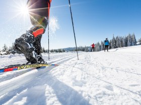 Bežkovanie vo Viedensk&yacute;ch Alp&aacute;ch, &copy; Wiener Alpen in Nieder&ouml;sterreich
