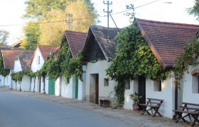 Kellergasse Hadres, © Weinviertel Tourismus/Krönigsberger