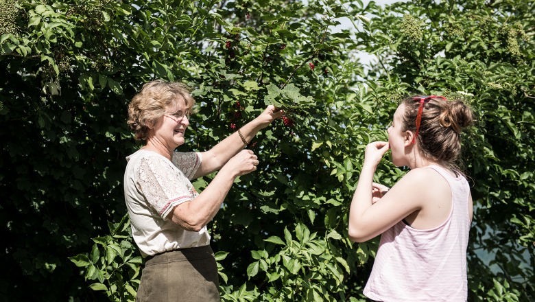 Kurzeck organic farm, &copy; Wolfgang Wutzl