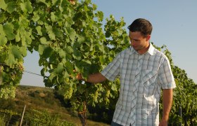 Haas Winery, &copy; Wolfgang Hofer