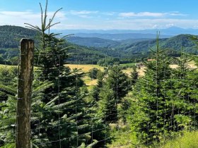 Jauerling-Runde 05: Weiten-Raxendorf, &copy; Wachau Inside