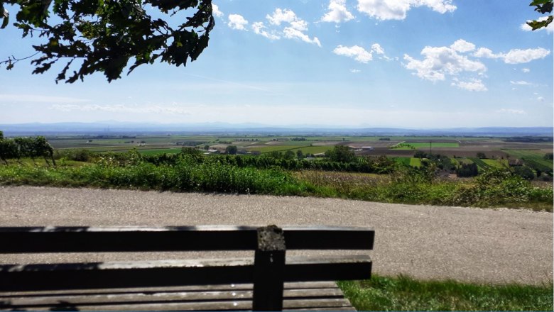 Riedweg, &copy; Verena Schnatter