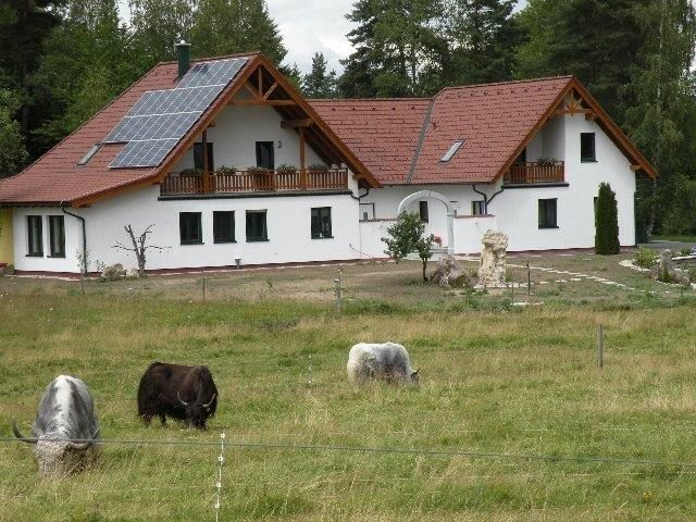Moderná farma so solárnymi panelmi na streche, obklopená lúkou s pasúcimi sa jaky.