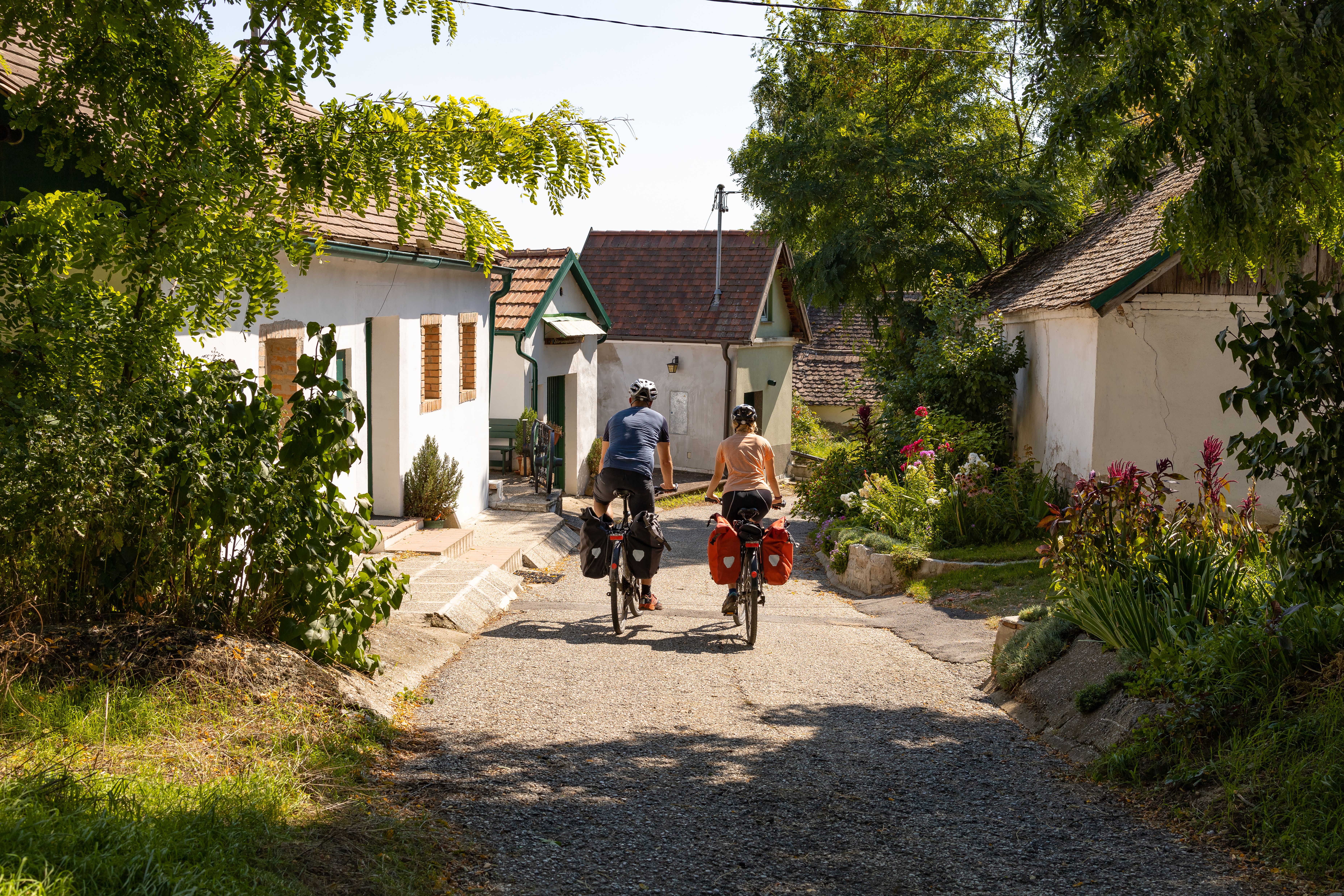 Vínna ulička v Hadres s bielymi domčekmi a viničom.