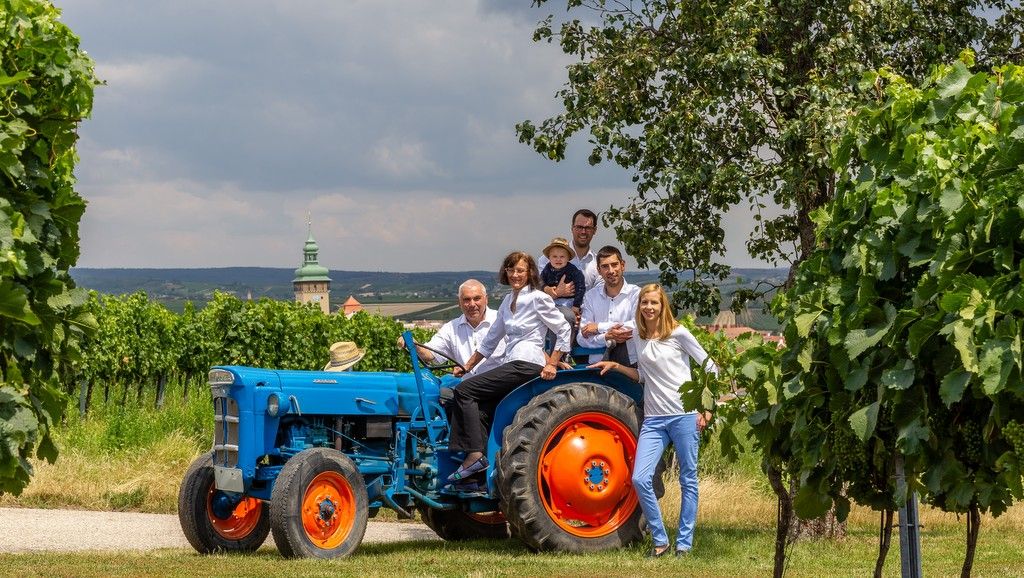 Skupina ľudí na modrom traktore vo vinohrade.