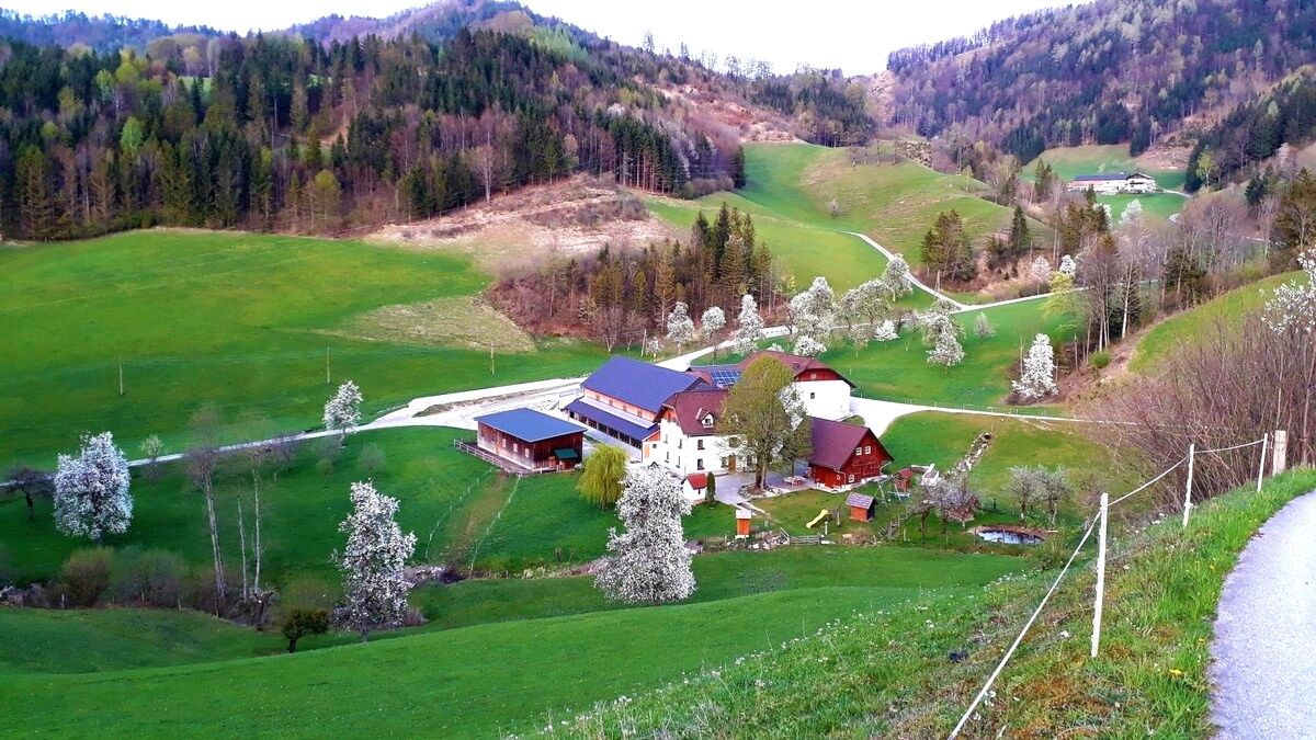 Dovolenka na farme-Oberrehau