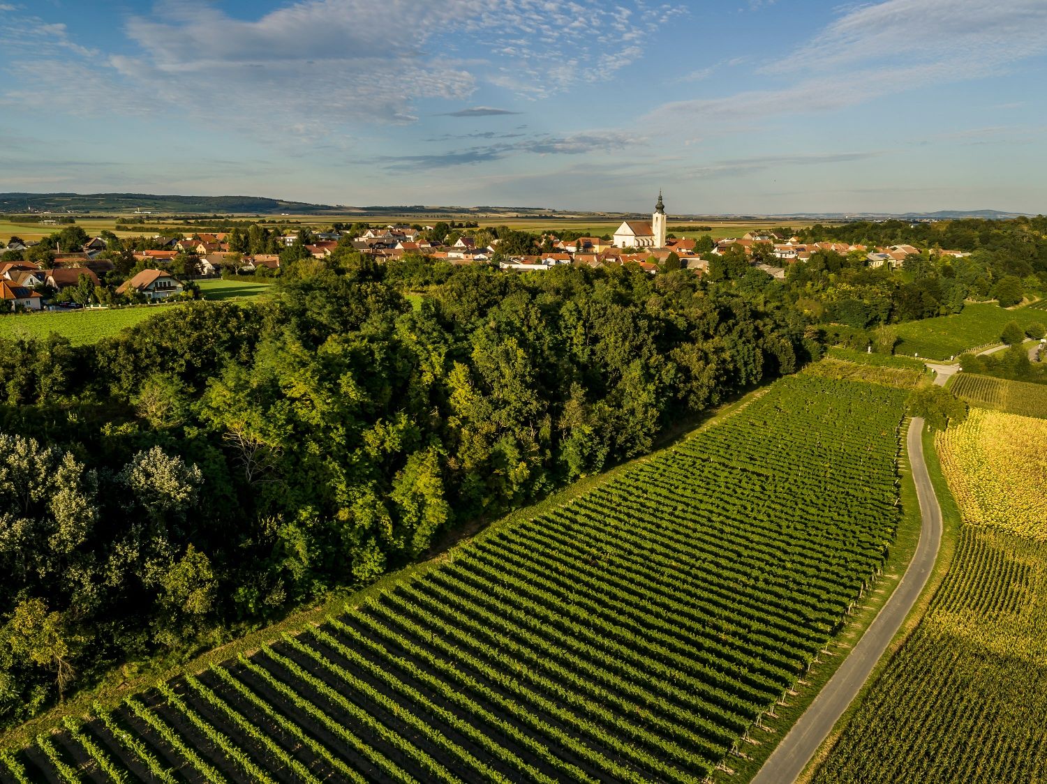 Letecký pohľad na Stetteldorf am Wagram s vinicami v popredí a kostolom v pozadí.