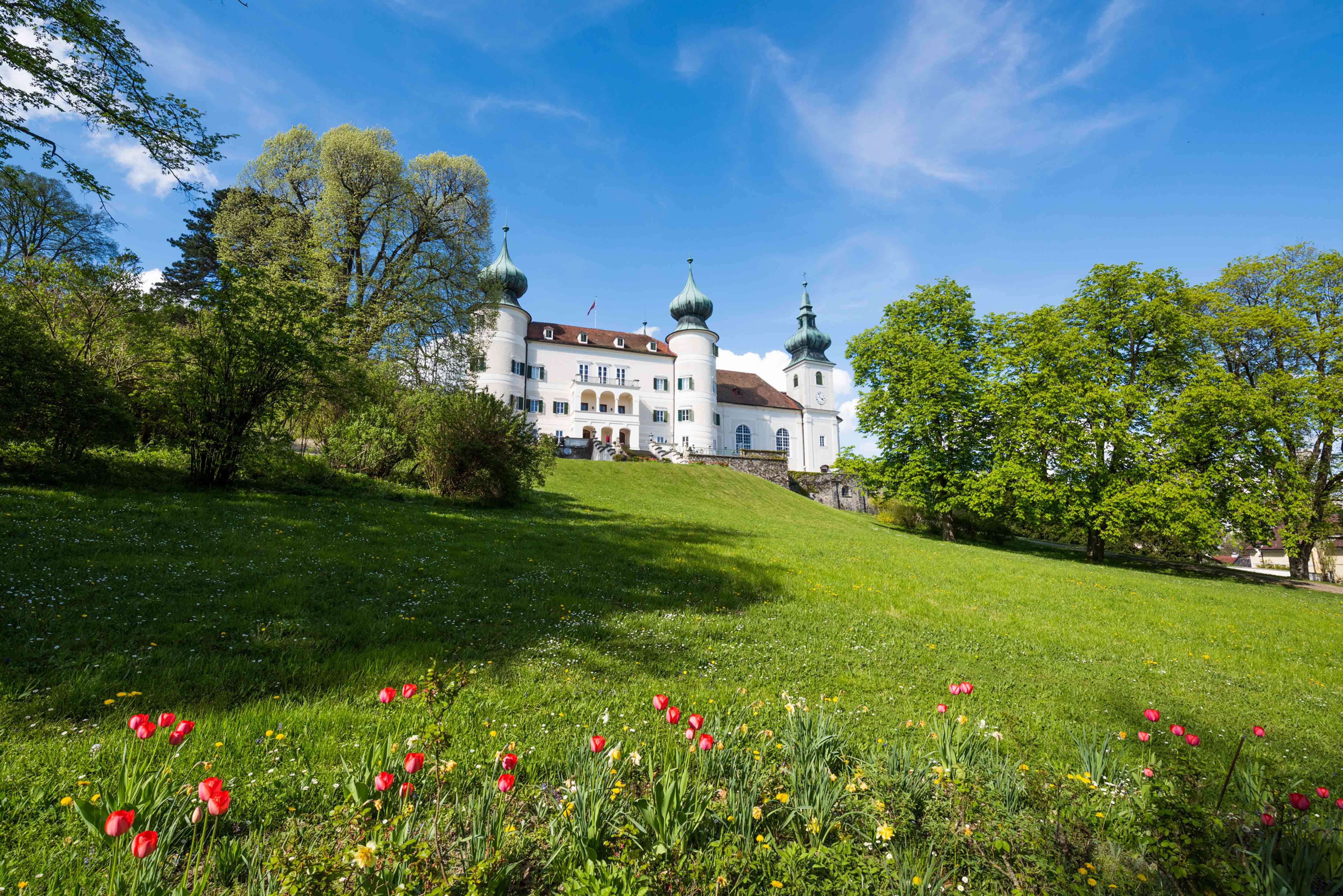 Hrad Artstetten so zelenou lúkou a kvitnúcimi tulipánmi v popredí.