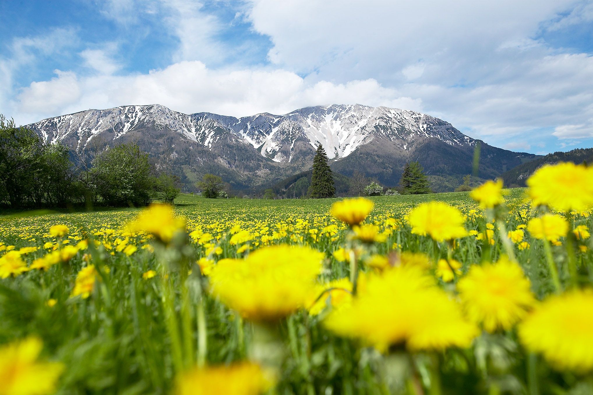 Pohľad na Schneeberg