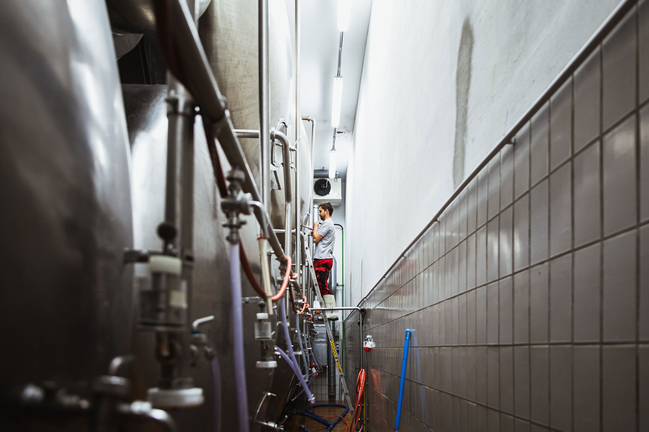 Muž pracuje na varnom kotle v pivovare.