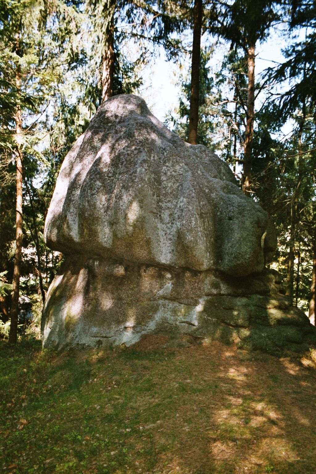 Veľká okrúhla skala v lese, obklopená stromami.