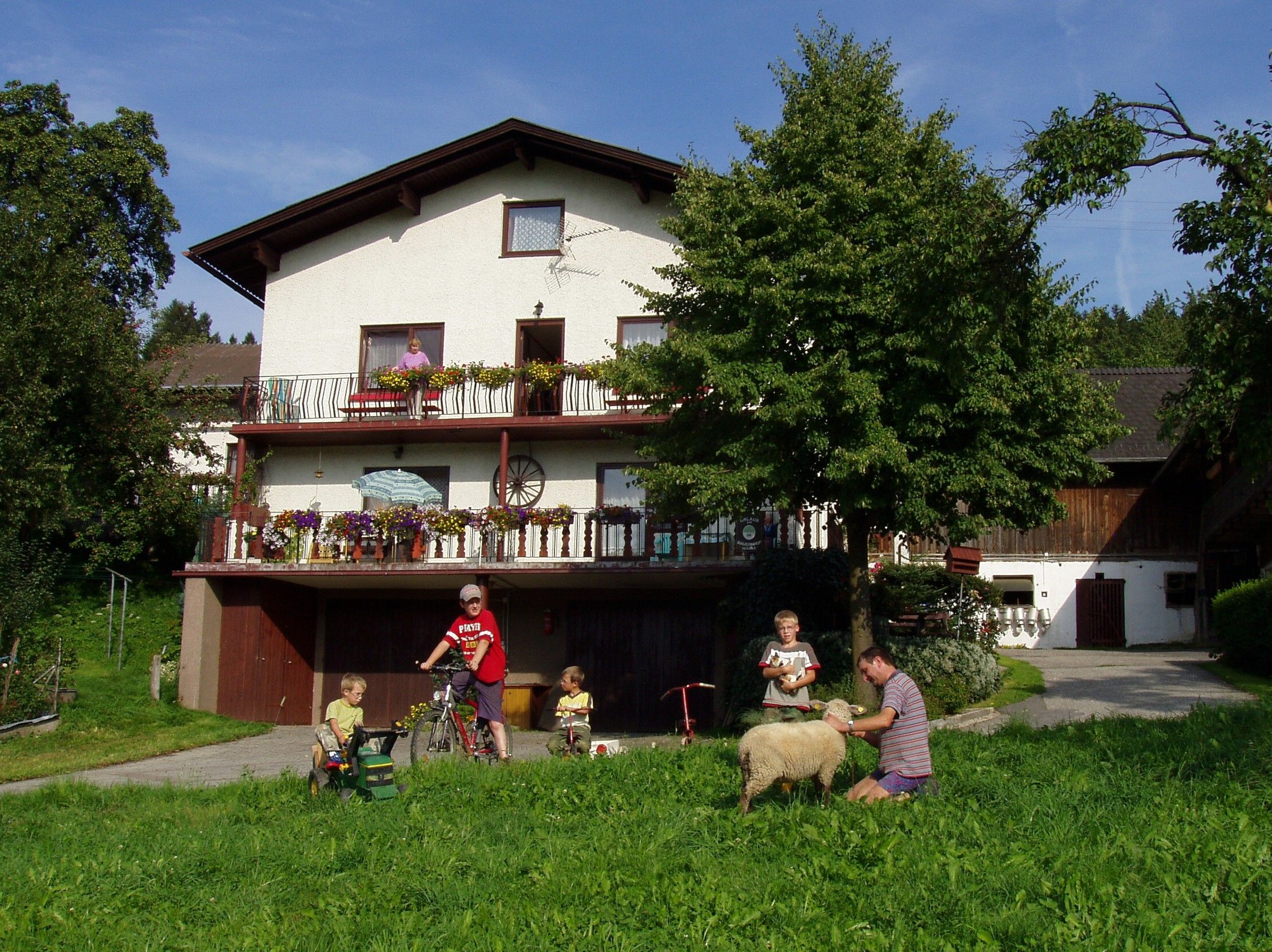 Dovolenka na farme Waira