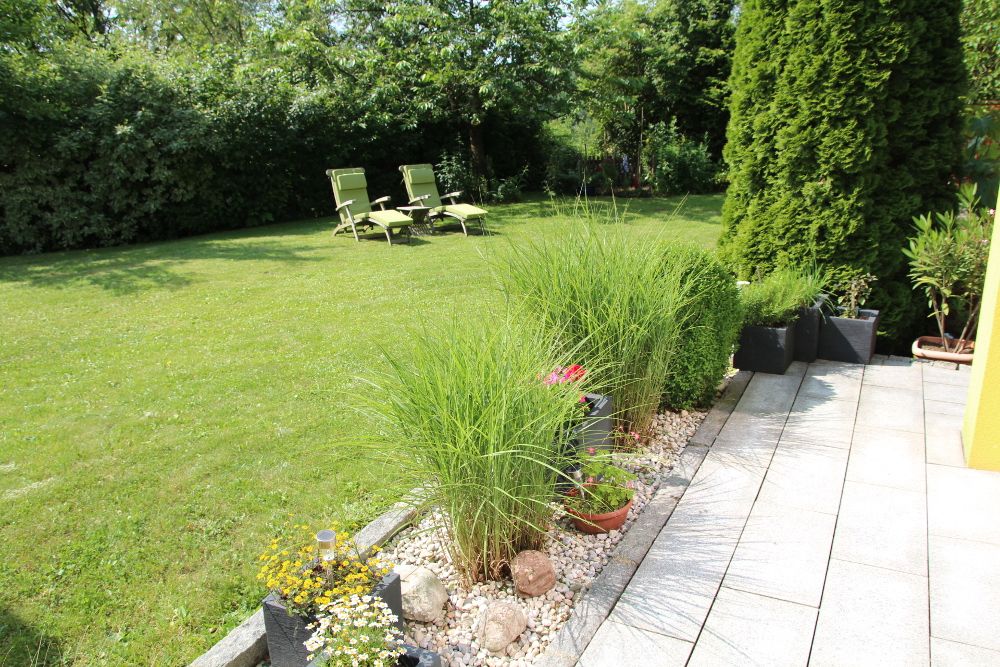 Záhrada s trávnikom, ležadlami a vysadeným lemom.
