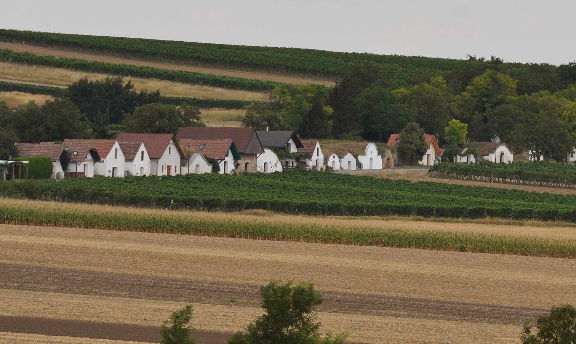 Vínne uličky Prellenkirchen, Zem Rimanov Carnuntum