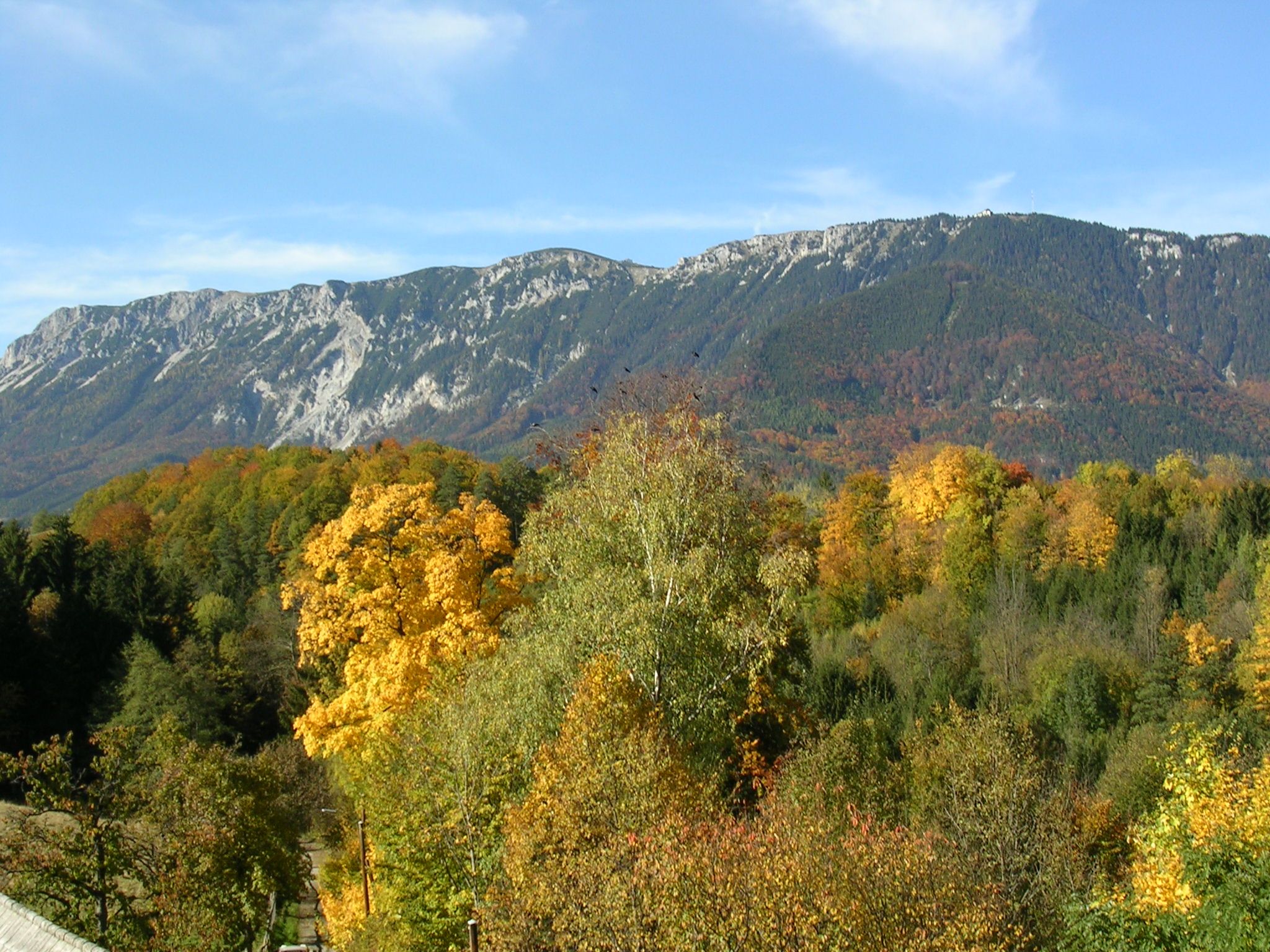 Jesenná krajina s farebnými stromami a horami v pozadí.