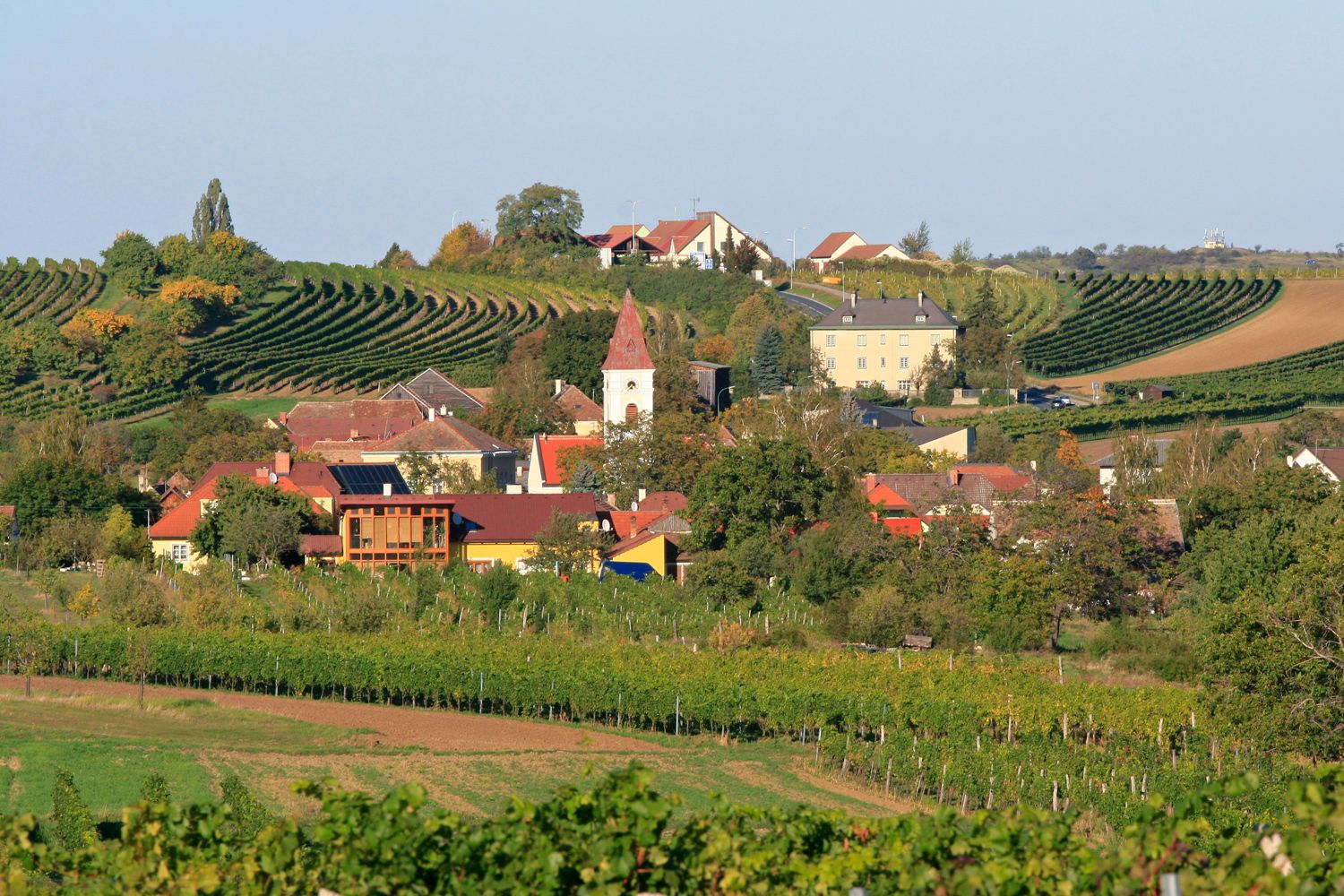 Pohľad na obec Mitterretzbach s vinicami v pozadí.