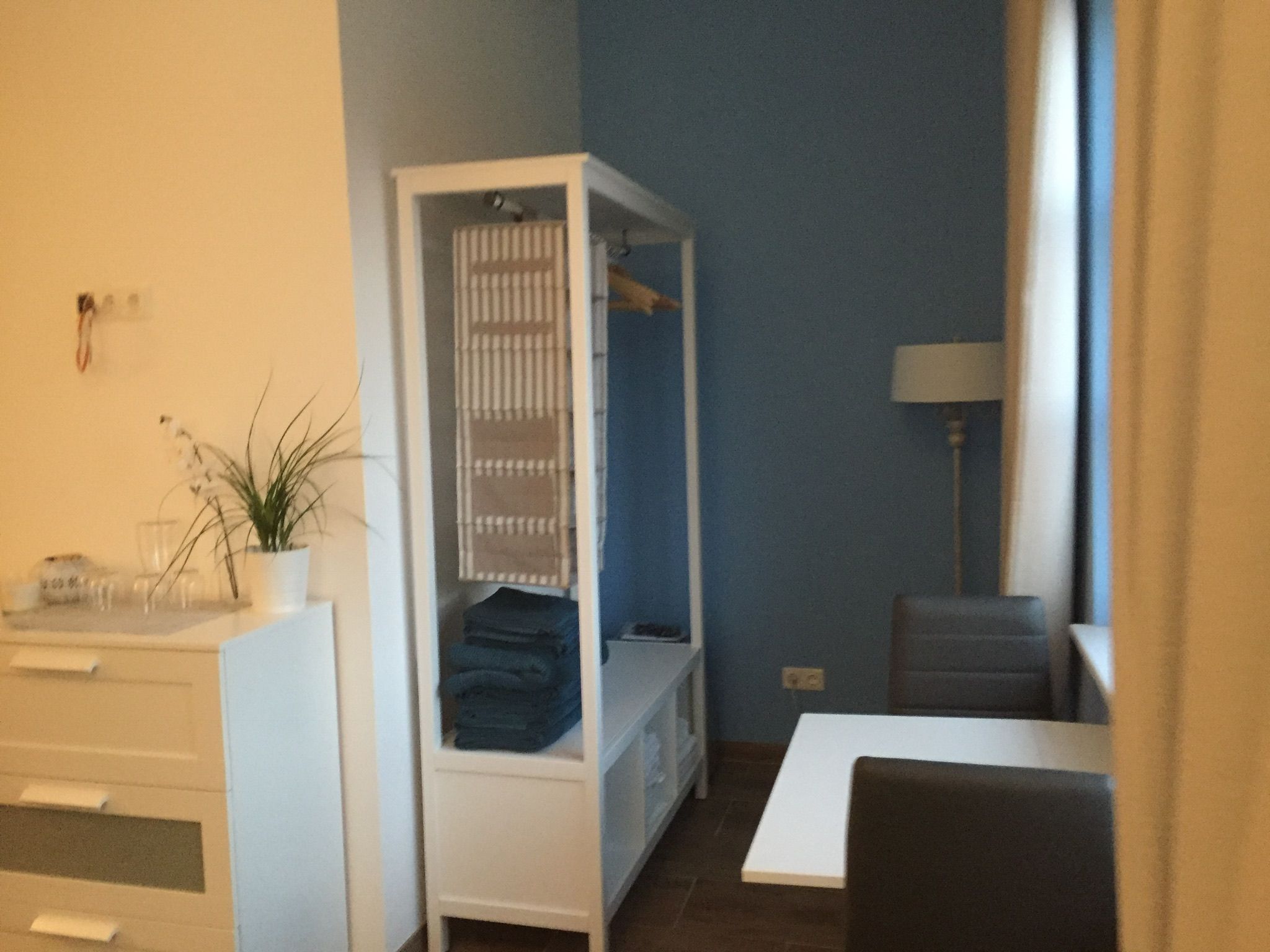 Hippo Campus, miestnosť