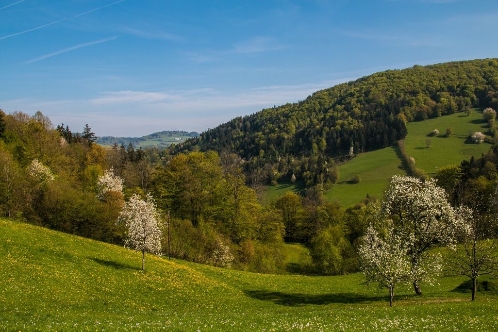 Pohľad z Holzsteigu