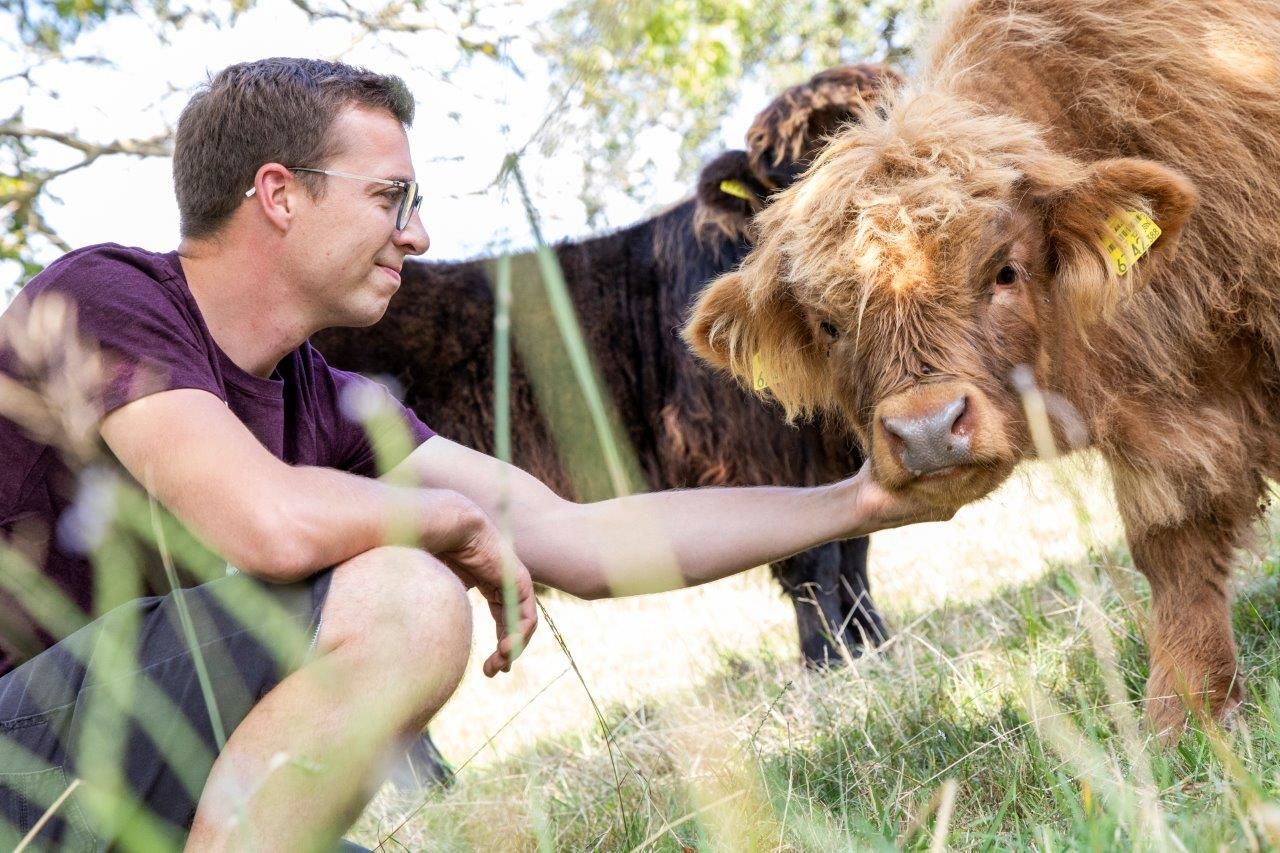 Craftbeef od Brandstatten