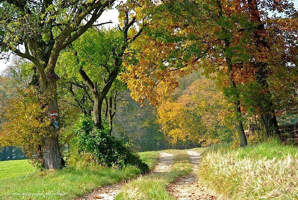 Poľná cesta do Oberpirathu