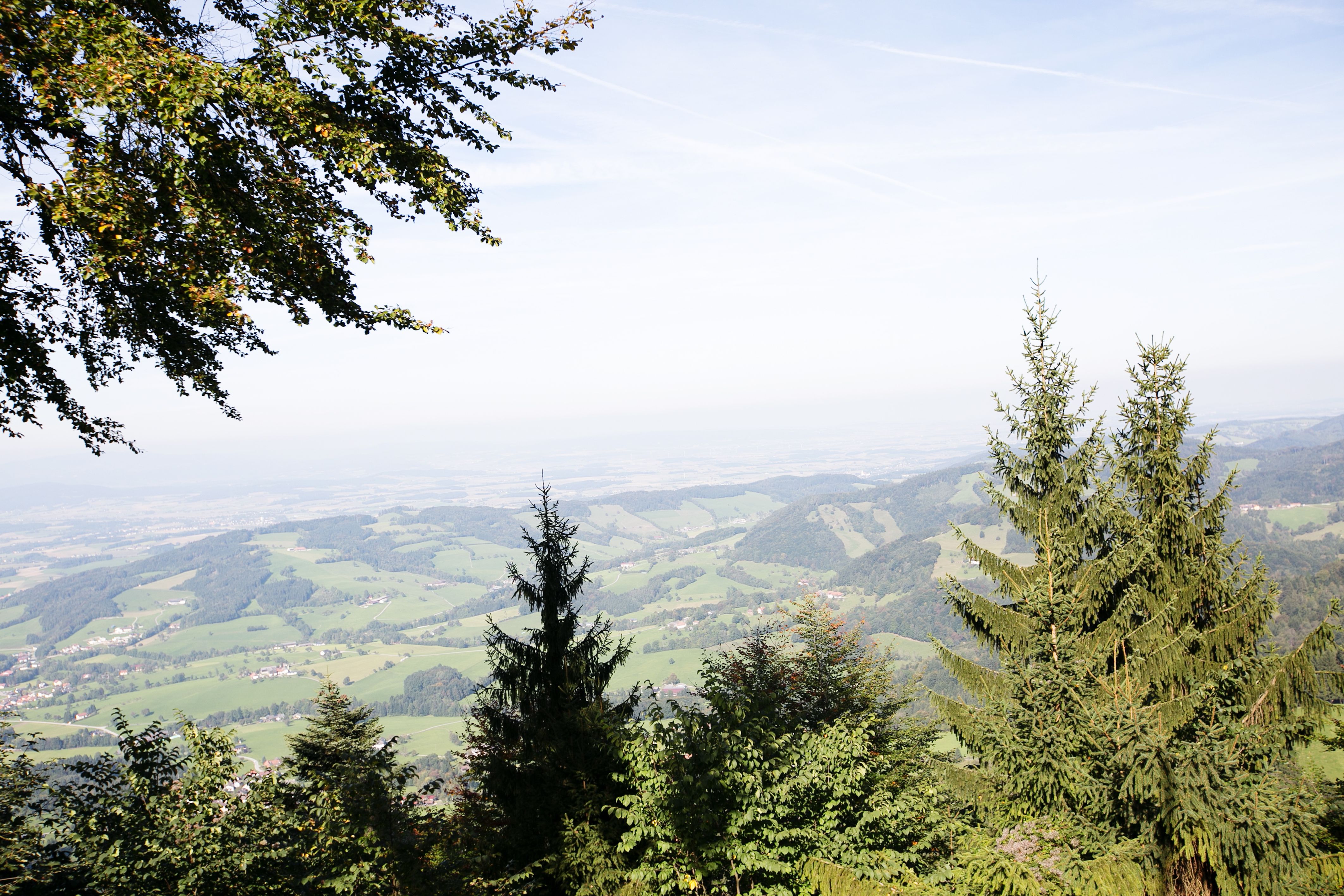 Panoramatický pohľad z chaty Grüntalkogelhütte na zelenú kopcovitú krajinu so stromami v popredí.