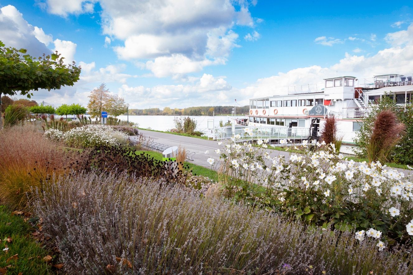 Lokalita Tulln Danube