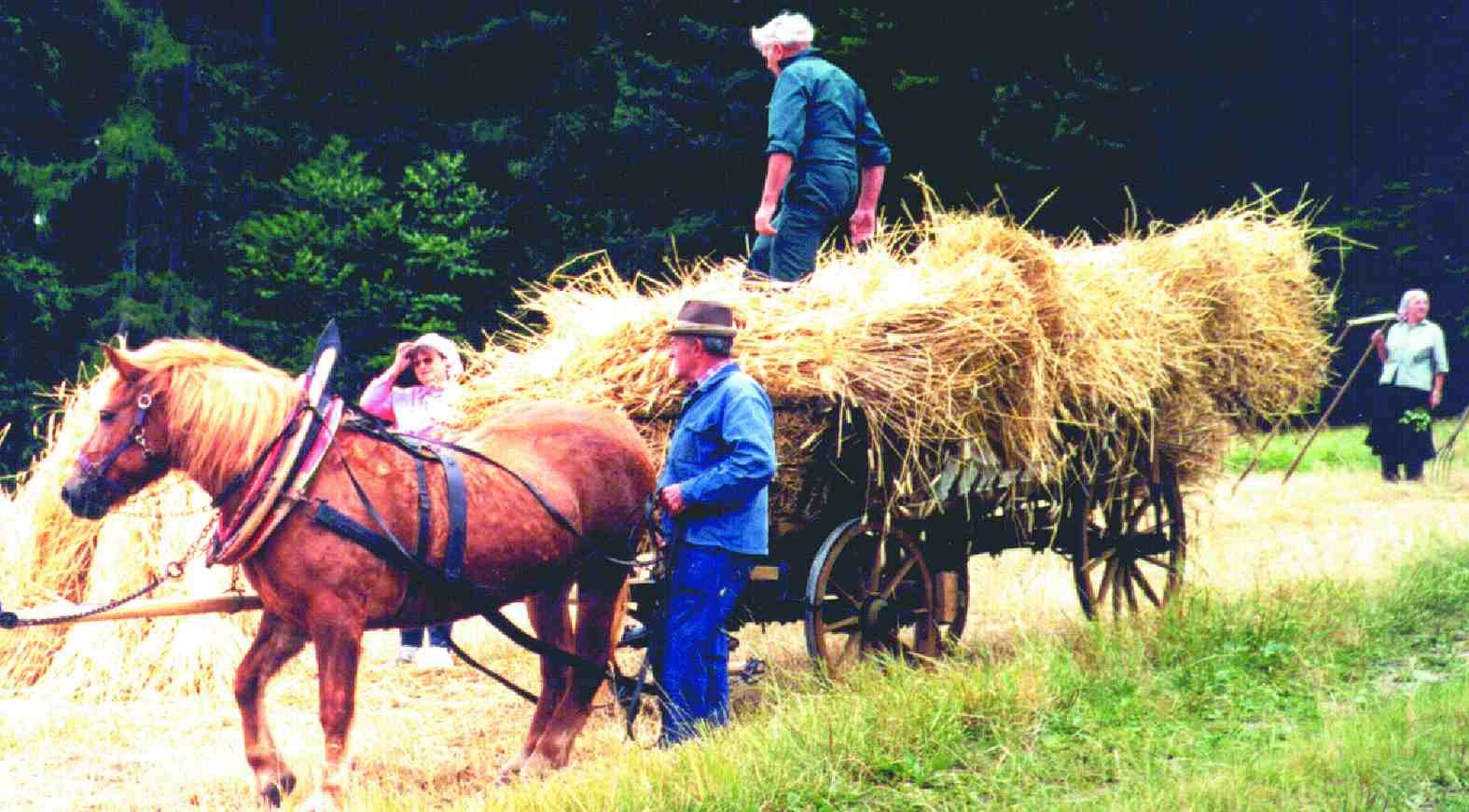 Farmár
