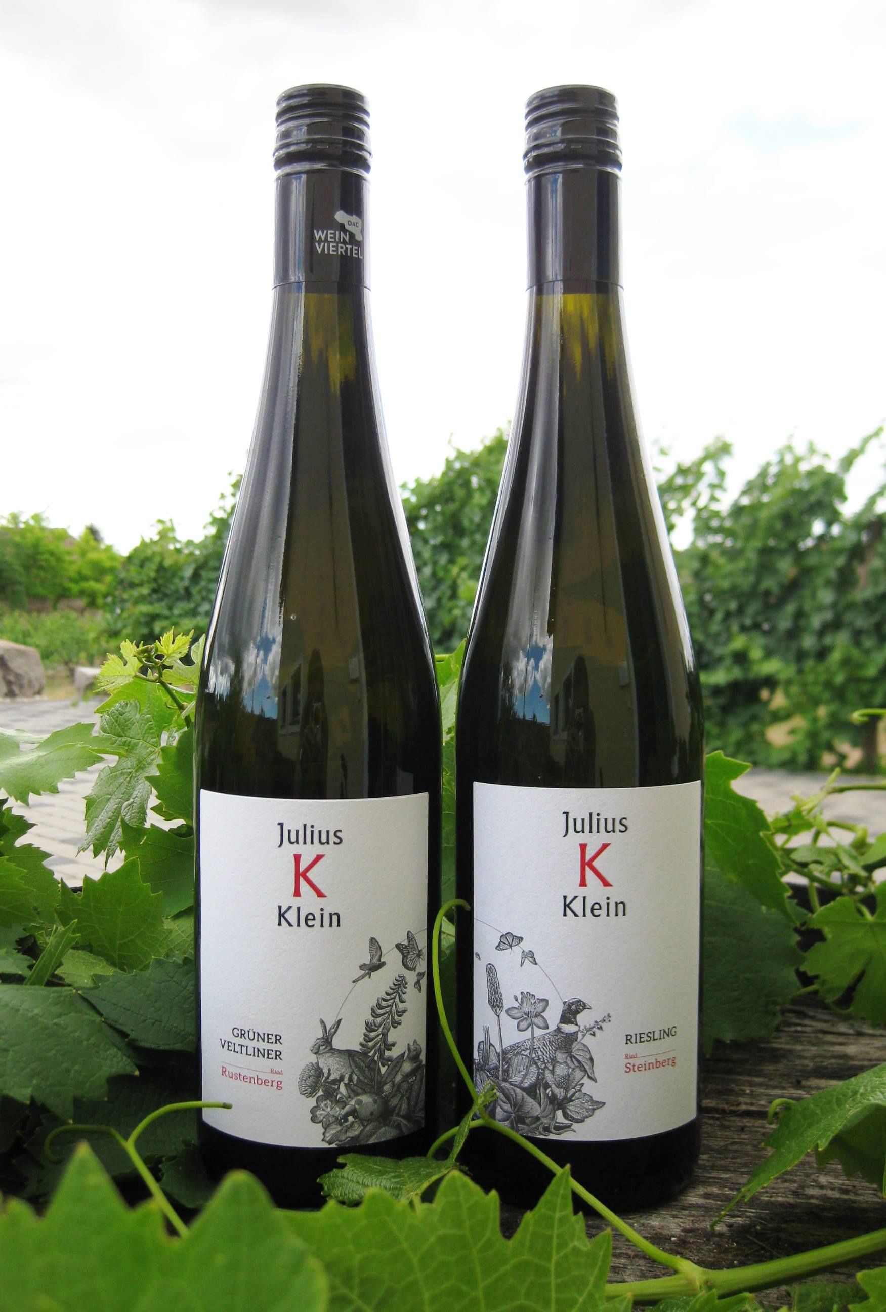 Dve fľaše vína Julius Klein vo vinici.