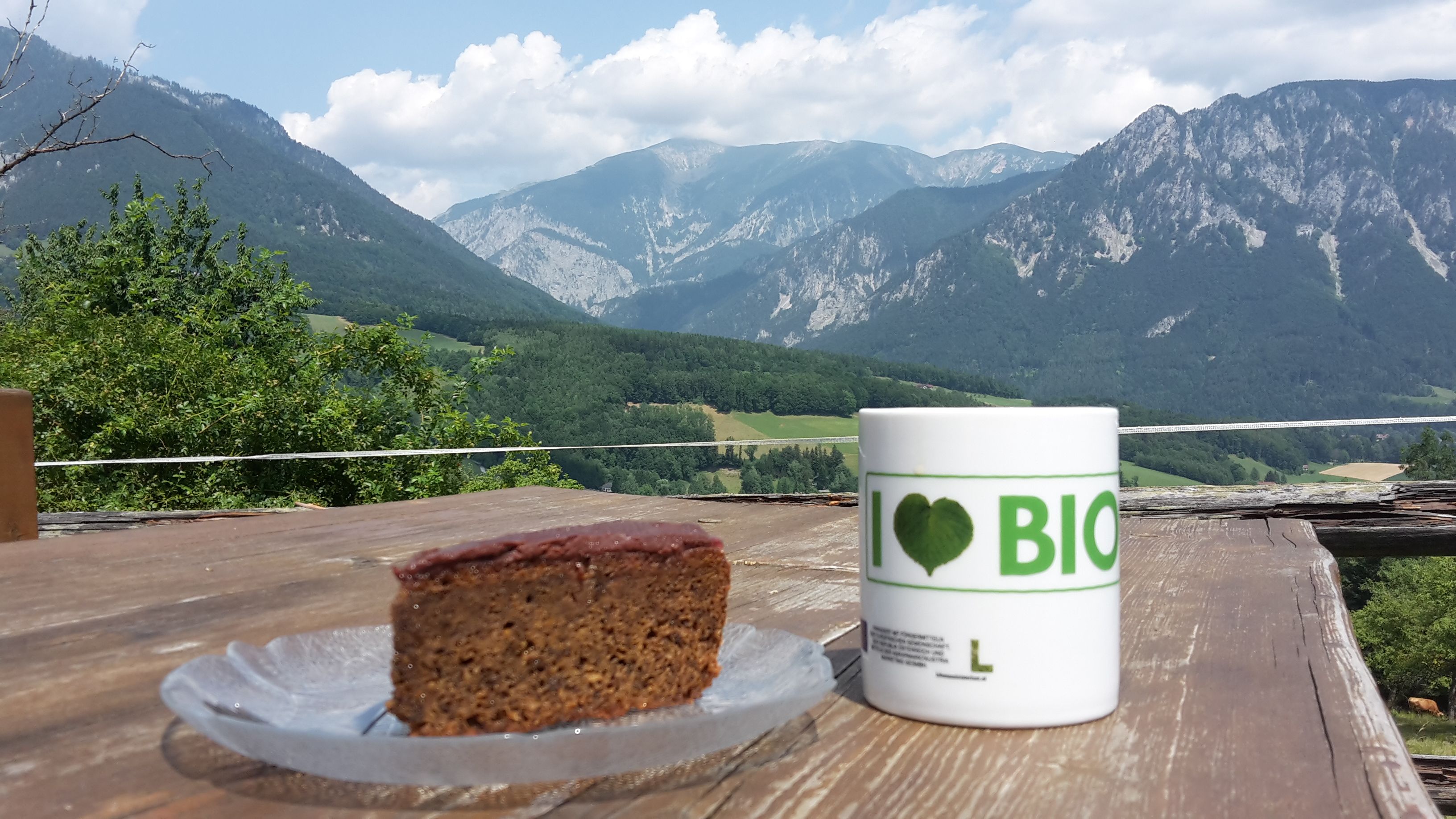 Kúsok koláča a šálka s nápisom "I love BIO" na drevenom stole pred horskou krajinou.