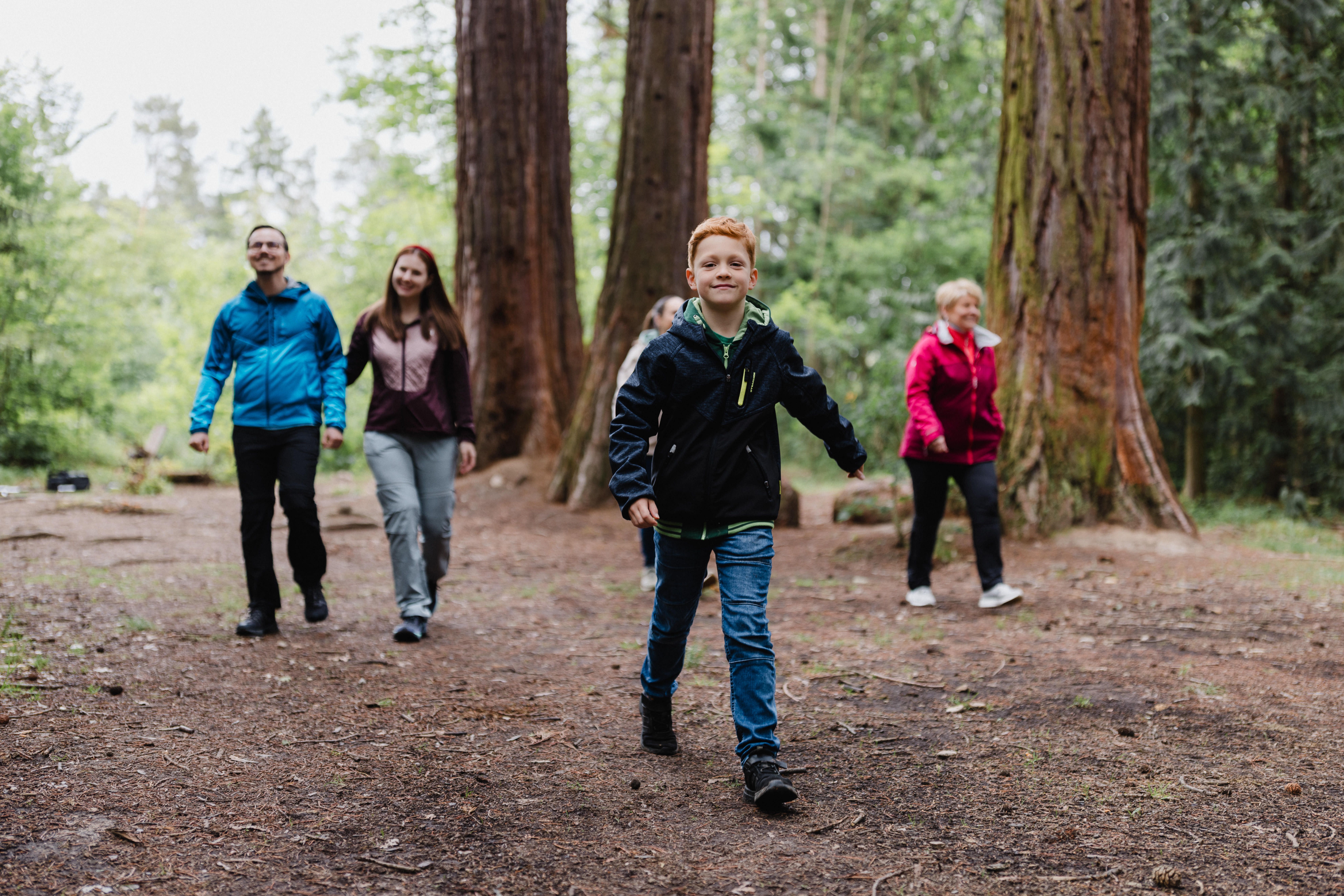 Skupina ľudí kráča lesom s vysokými stromami.