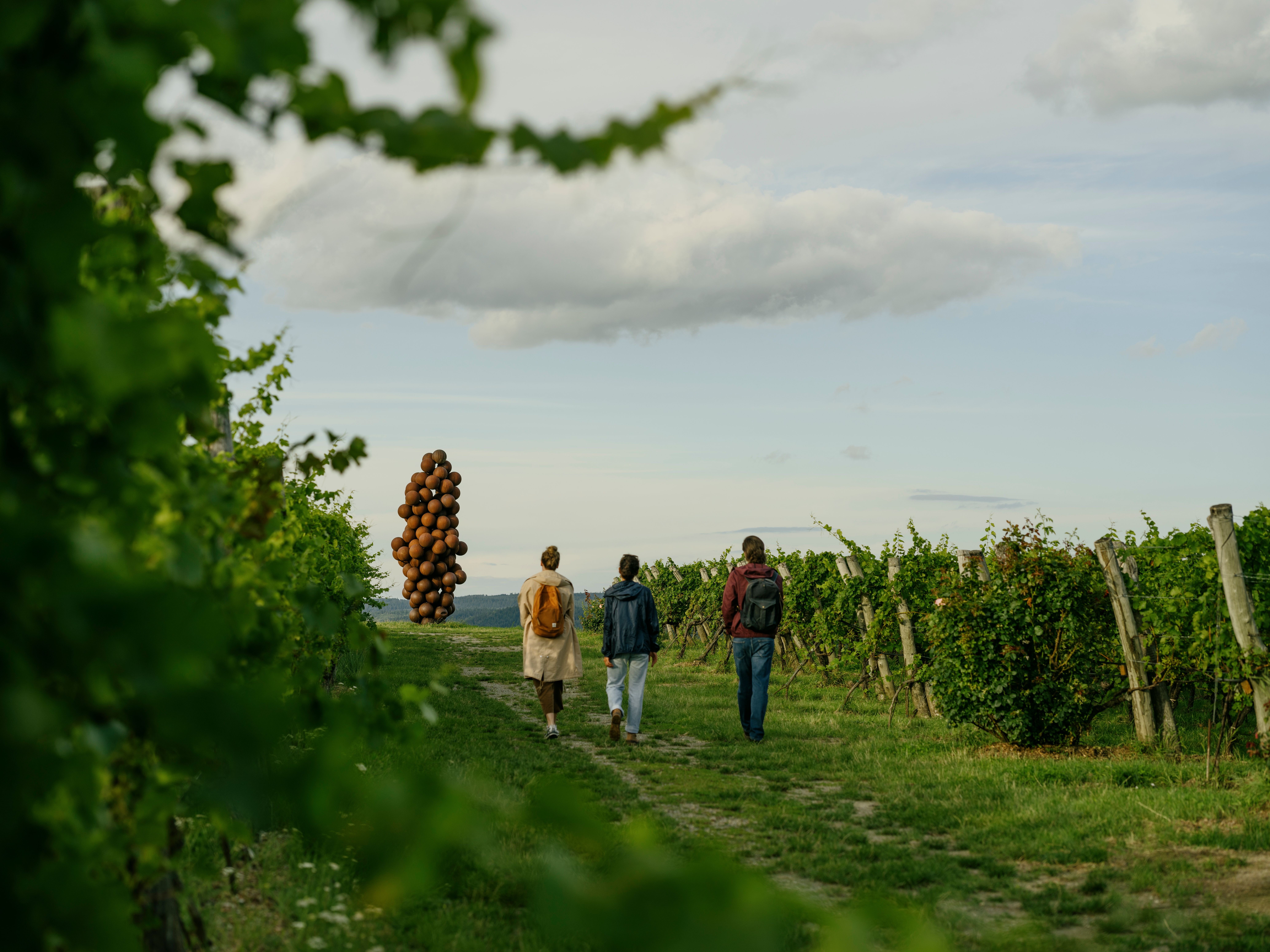 Ein malerischer Weg schlängelt sich durch die sanften Hügel, umgeben von üppigen Weinreben, die in der warmen Sonne leuchten. Die frische Luft ist erfüllt von dem süßen Duft reifer Trauben, während Wanderer in entspannter Stimmung die Schönheit der Natur genießen. Hier, wo die Landschaft und die Kultur des Weinanbaus harmonisch verschmelzen, wird jeder Schritt zu einem unvergesslichen Erlebnis.