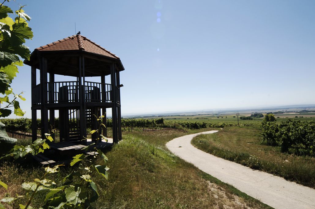 Observatórium s červenou strechou vo vinohradníckej krajine.