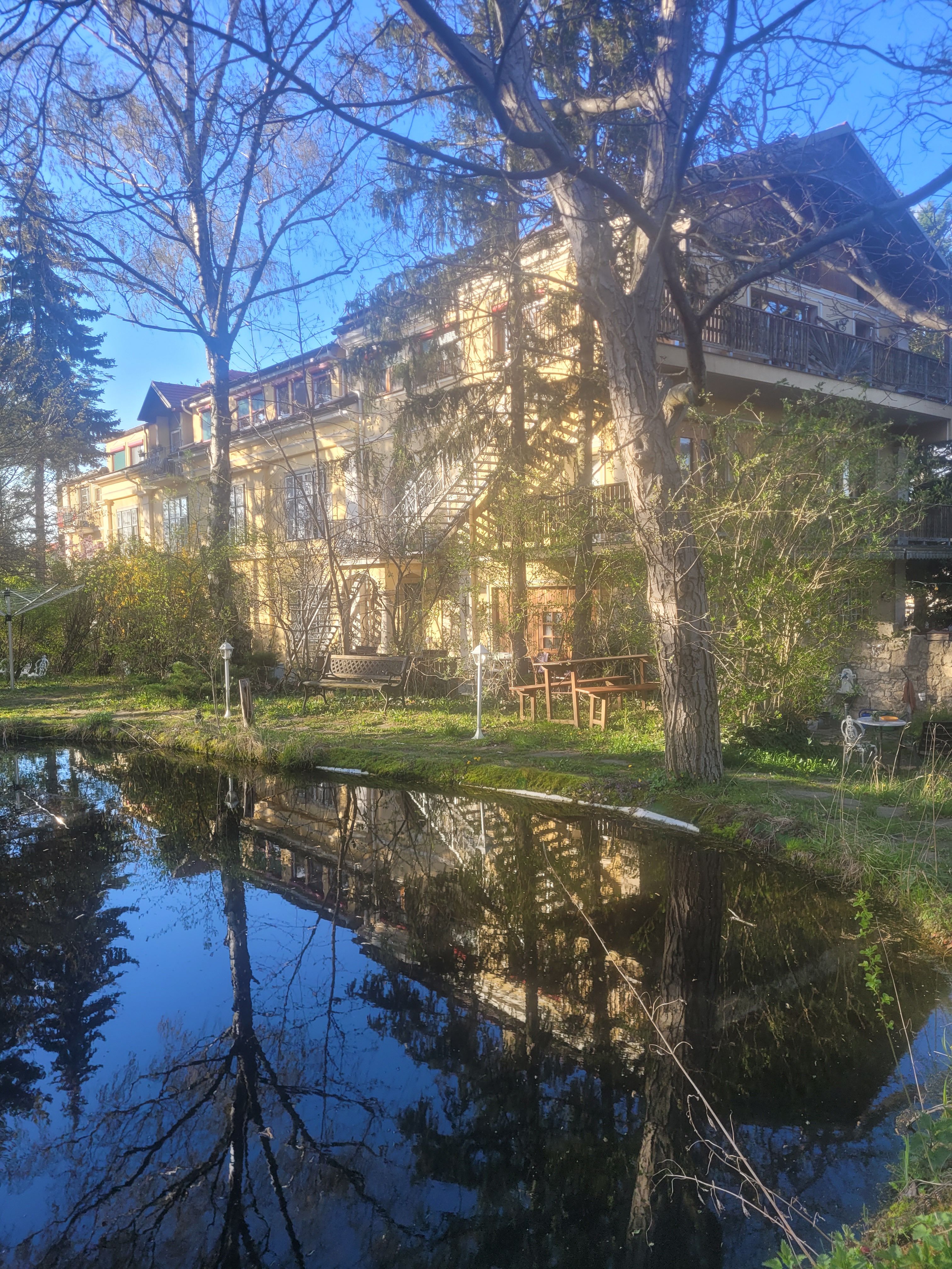 Pannonica, Wolfsthal, záhradné jazierko na jar