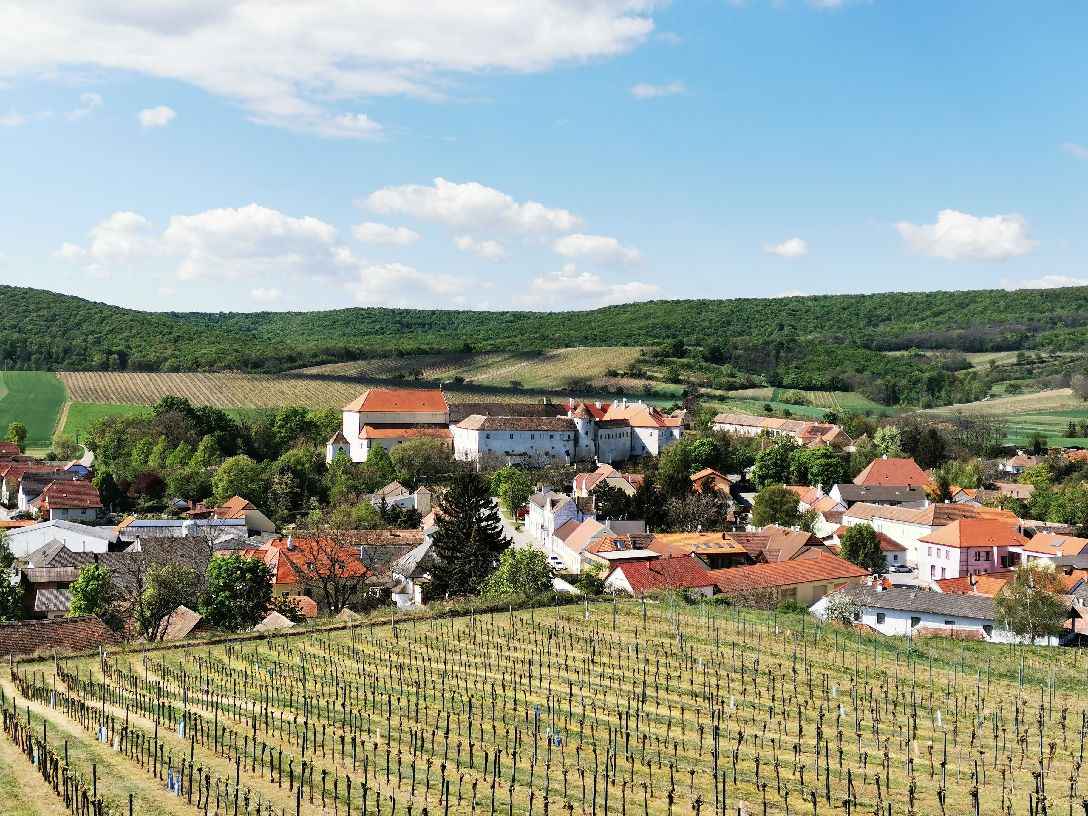 Pohľad na dedinu s vinicami v popredí a kopcami v pozadí.