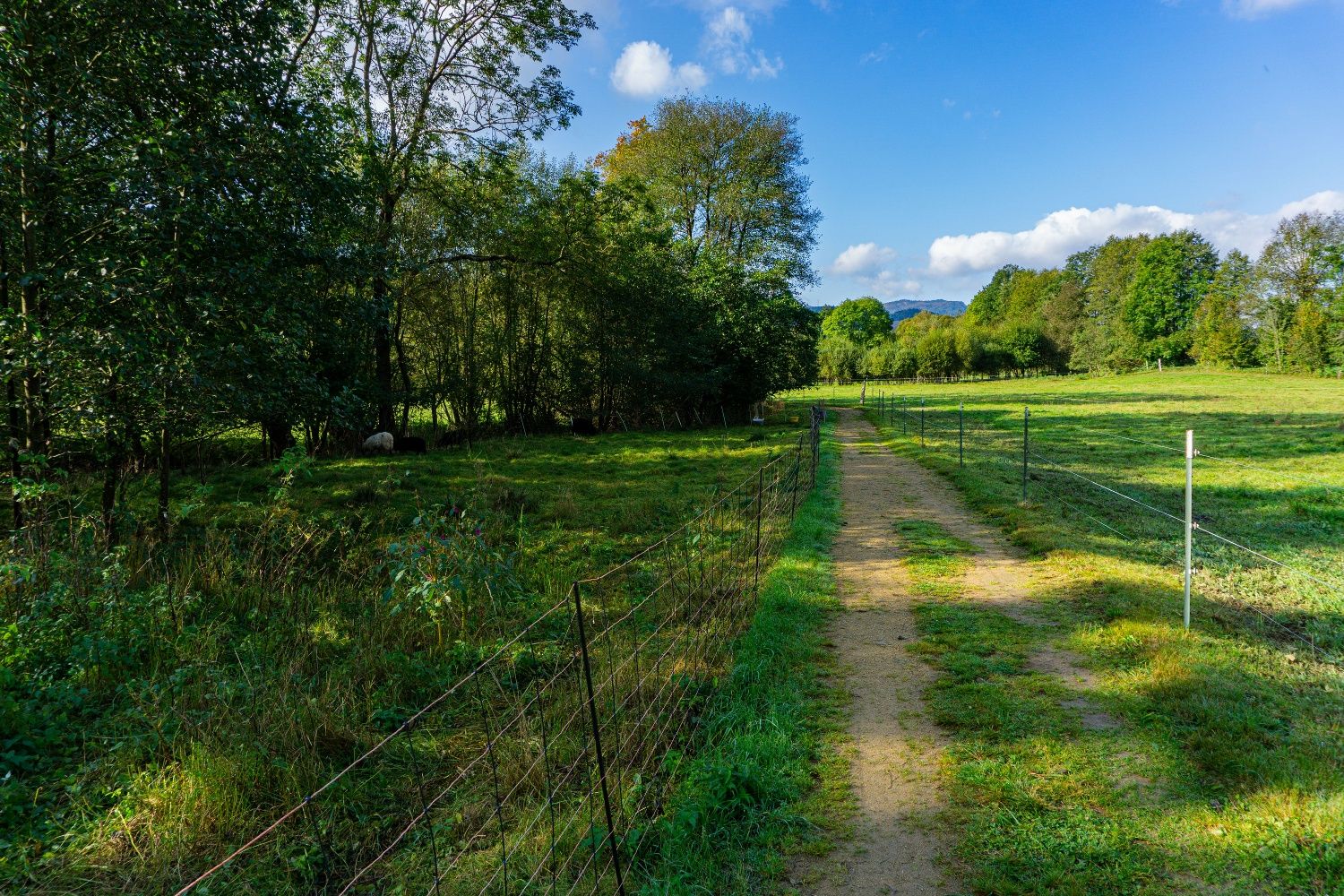 Laaserweg medzi pastvinami