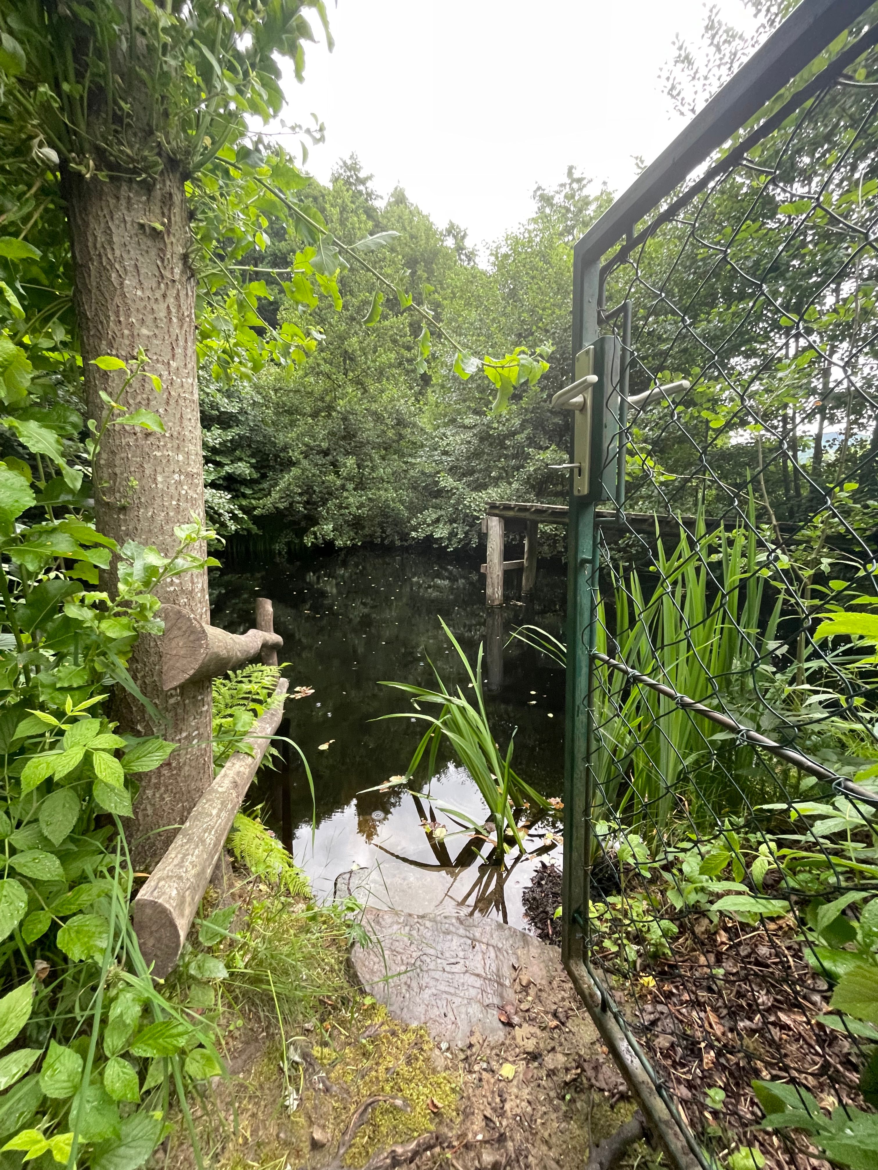 Súkromné prírodné kúpacie jazierko nad rekreačným bytom