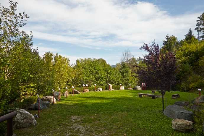 Zelená lúka so stromami a kameňmi v geoparku Aspang.