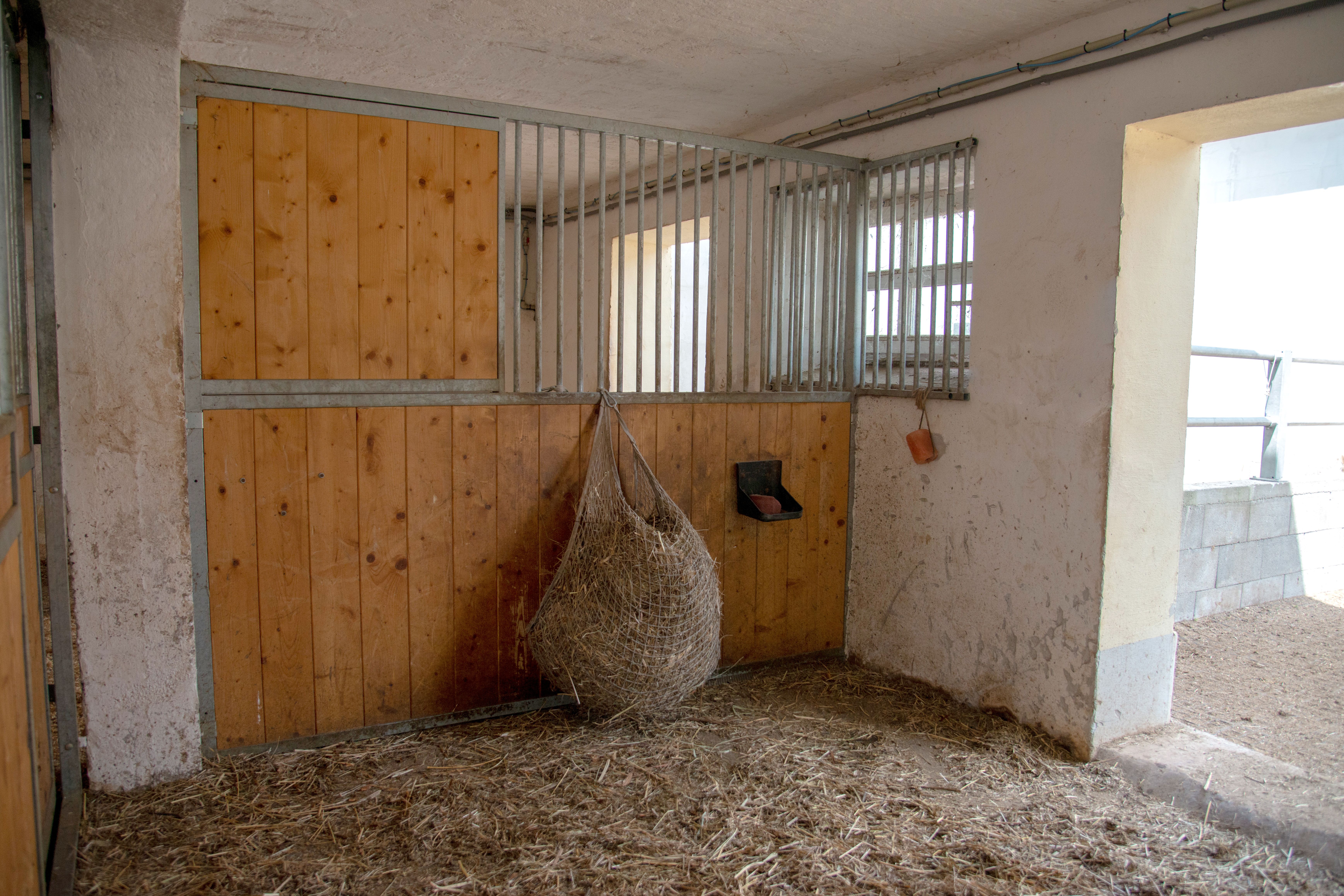 Hippo Campus, stabilný