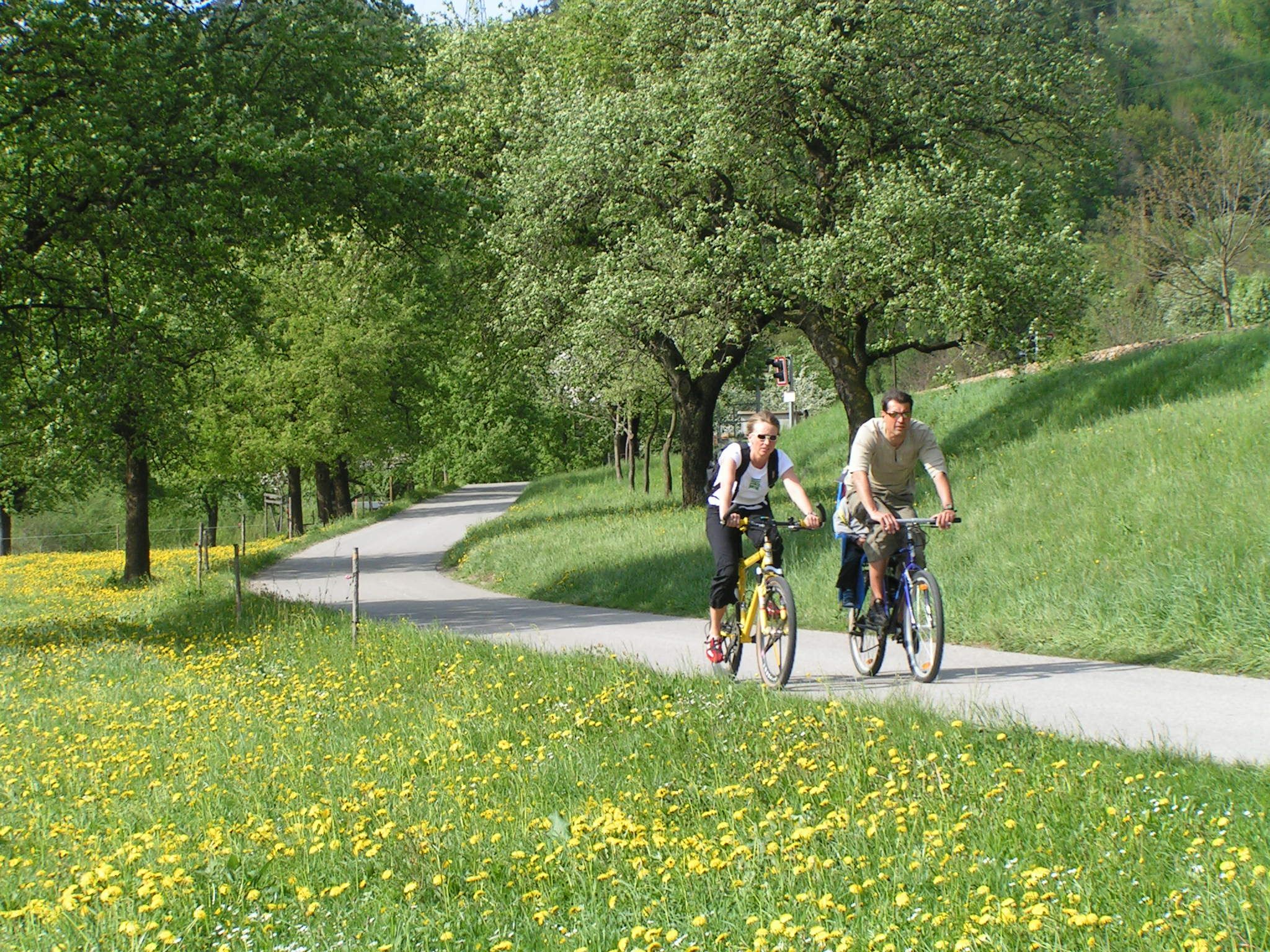 Dvaja cyklisti na ceste v prírode, obklopení kvitnúcimi lúkami a stromami.