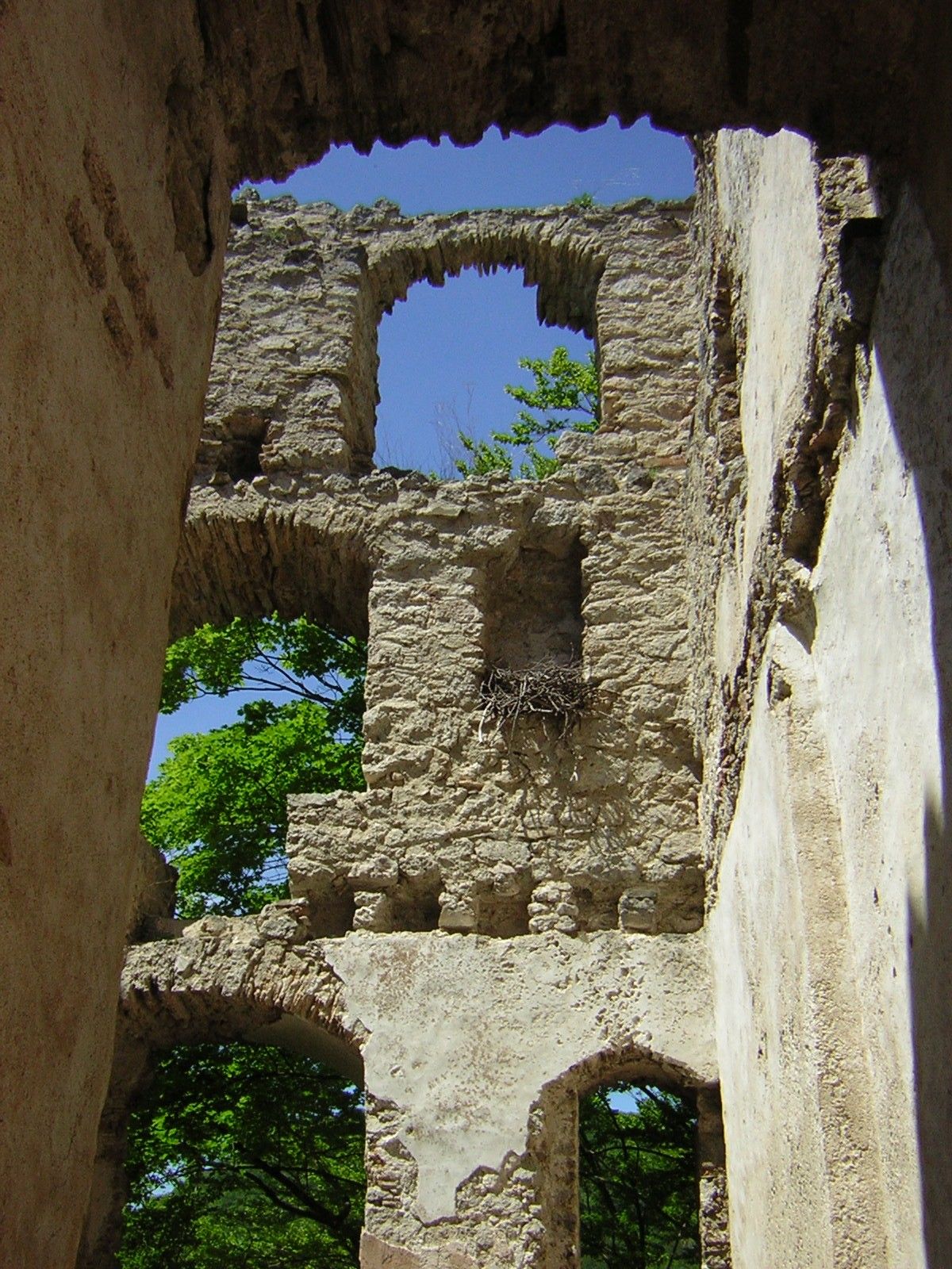 Stena zrúcaniny s okennými otvormi a vtáčím hniezdom, obklopená stromami.
